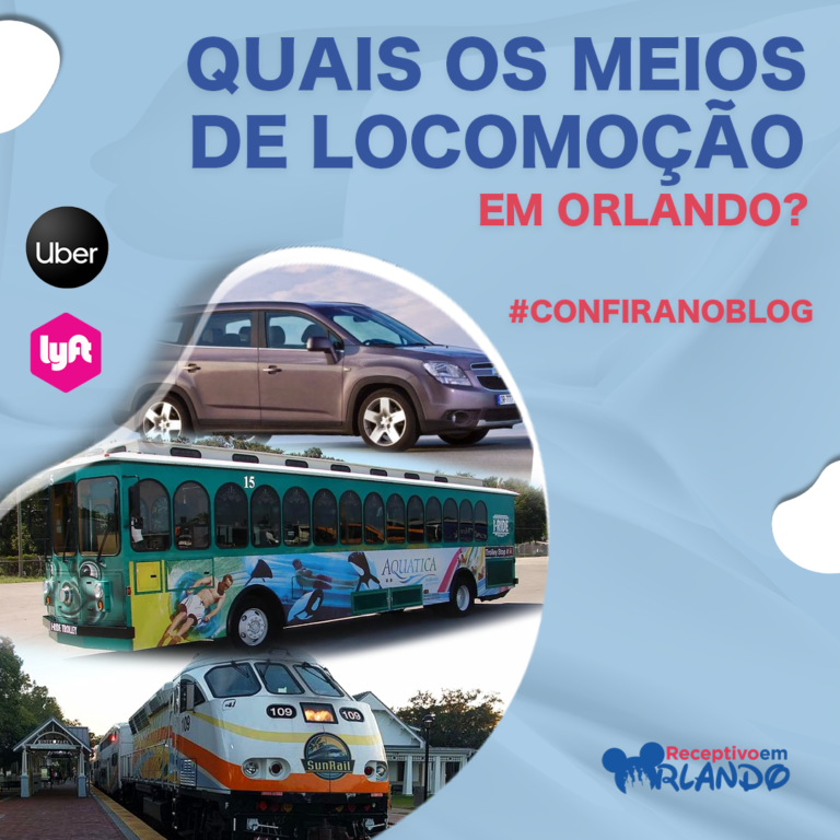 World Cup Bus: ônibus escolar trará 15 passageiros para assistir